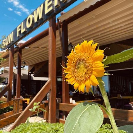 Sun Flower Apart Hotel Side Bagian luar foto