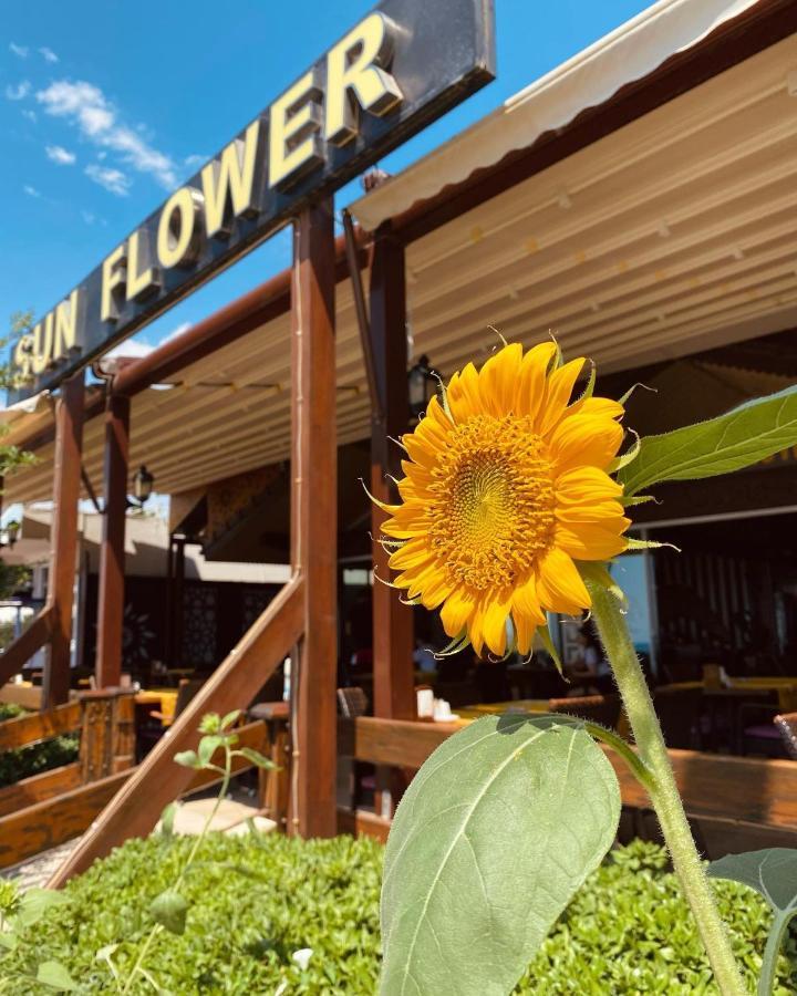 Sun Flower Apart Hotel Side Bagian luar foto
